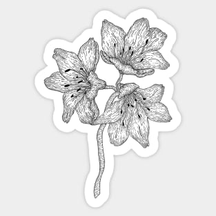 Lilies Sticker